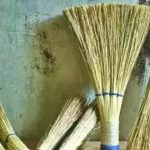 Vastu Tips: వాస్తు నియమాల ప్రకారం చీపురును ఏ రోజు కొనుగోలు చేస్తే మంచిది?