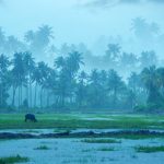 India Monsoon Report: చల్లని కబురు చెప్పిన IMD.. ఈసారి ముందుగానే రుతుపవనాలు.. ఫుల్లుగా వర్షాలు!