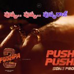 Pushpa 2 Song Promo: పుష్ప 2 ఫస్ట్ సాంగ్ ప్రోమో వచ్చేసిందిరోయ్.. మొదలెట్టండి హంగామా!