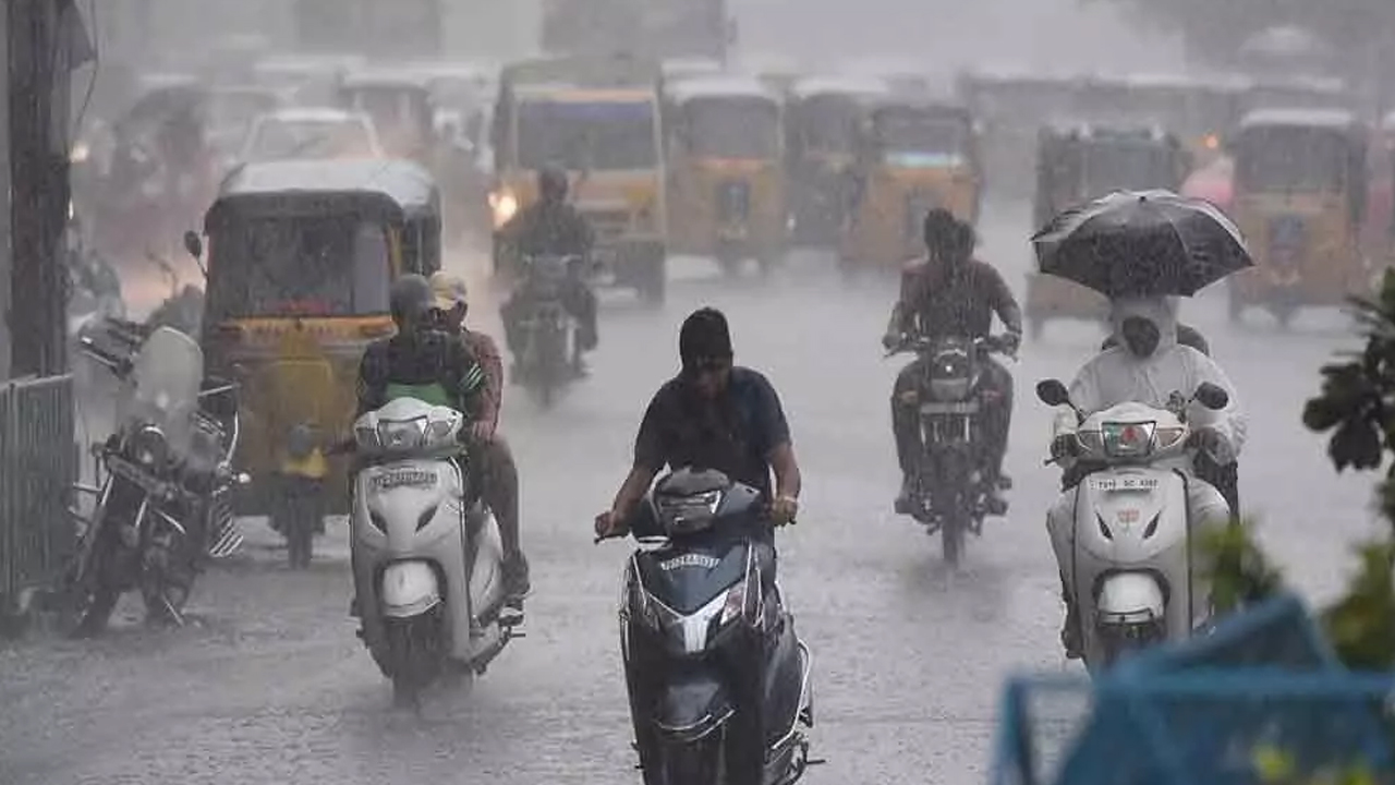 Bird Flu: వేగంగా వ్యాపిస్తున్న బర్డ్ ఫ్లూ.. ఆ రాష్ట్రంలో గుడ్లు, చికెన్ విక్రయాలపై నిషేధం