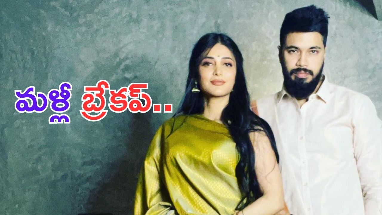 Shruti Haasan: శృతి హాసన్ బ్రేకప్.. అతడితో రొమాన్సే కారణం.. ?