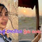 Naga Chaitanya 2nd Marriage: తెలుగు హీరోయిన్ తో నాగ చైతన్య రెండో పెళ్లి..?