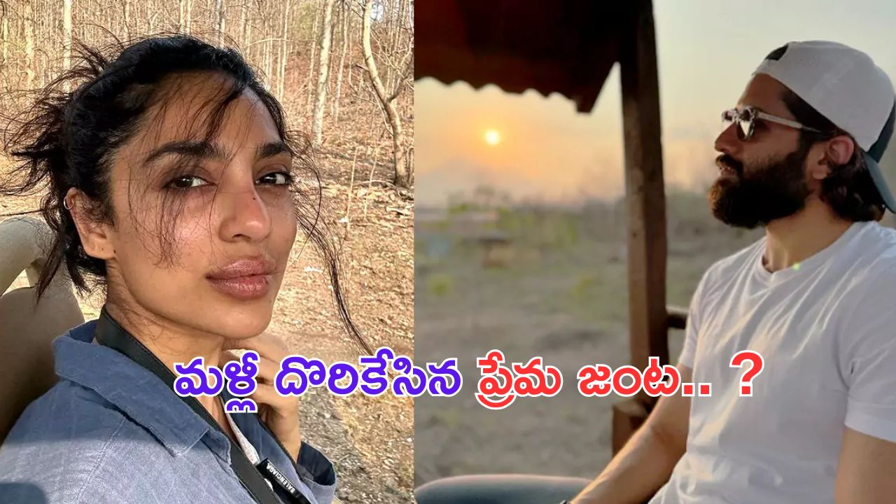 Vijayashanthi: రేవంత్ సర్కార్‌పై రాములమ్మ మాట
