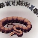 Vasuki Indicus: గుజరాత్ లో అతి పెద్ద శిలాజం.. ఆసక్తికర విషయాలు వెలుగులోకి..!