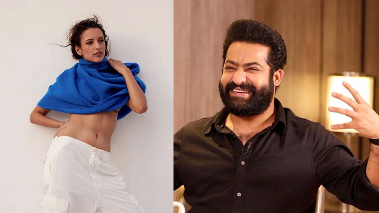 Tripti Dimri in War 2: ‘వార్ 2’లో ఎన్టీఆర్ కోసం రంగంలోకి ‘యానిమల్’ బ్యూటీ..?