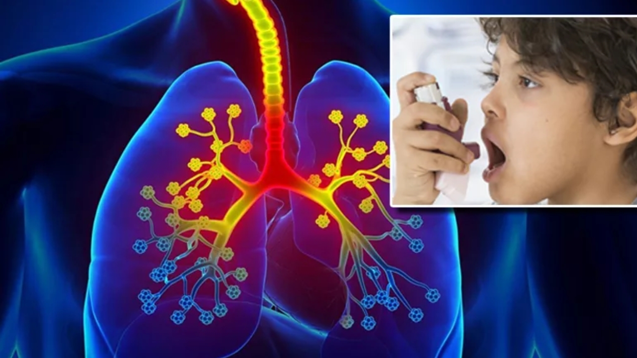 World Asthma Day 2024: ఆస్తమా గురించి ఈ విషయాలు మీకు తెలుసా?