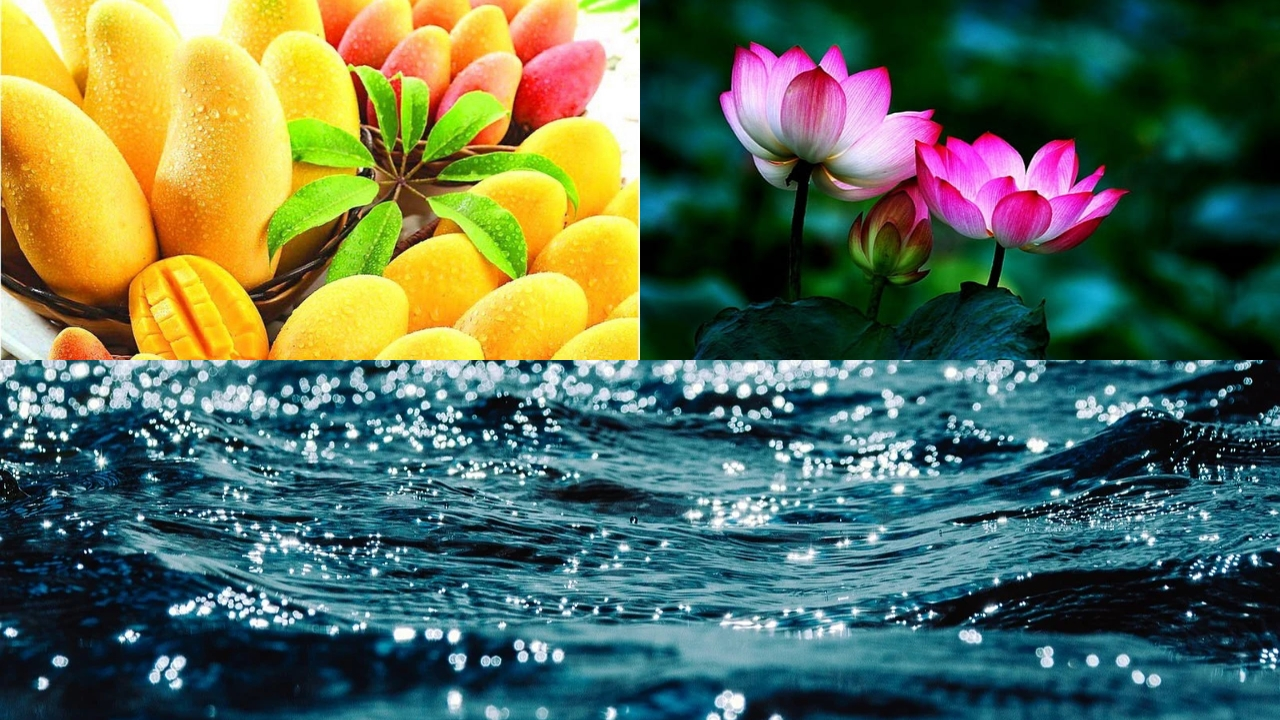 Auspicious Dreams: కలలో ఈ 5 వస్తువులు కనిపిస్తే.. మీకు ఇక తిరుగుండదు..?