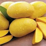 Soaked Mangoes: మామిడి పండ్లను నీళ్లలో నానబెట్టి తింటే ఏమవుతుందో తెలుసా..?