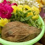Rules for Coconut to God: దేవాలయాల్లో కొబ్బరికాయ కొట్టే ముందు ఈ విషయం తెలుసుకోండి..!