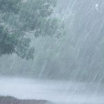 Heavy Rainfall: భారీగా కురుస్తున్న వర్షాలు.. ఎక్కడెక్కడ అంటే..?