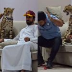 Cheetah Attacked Video Viral: ‘నీకు ఇలా జరగాల్సిందే రా’.. కంటెంట్ క్రియేటర్‌పై చిరుత దాడి..!