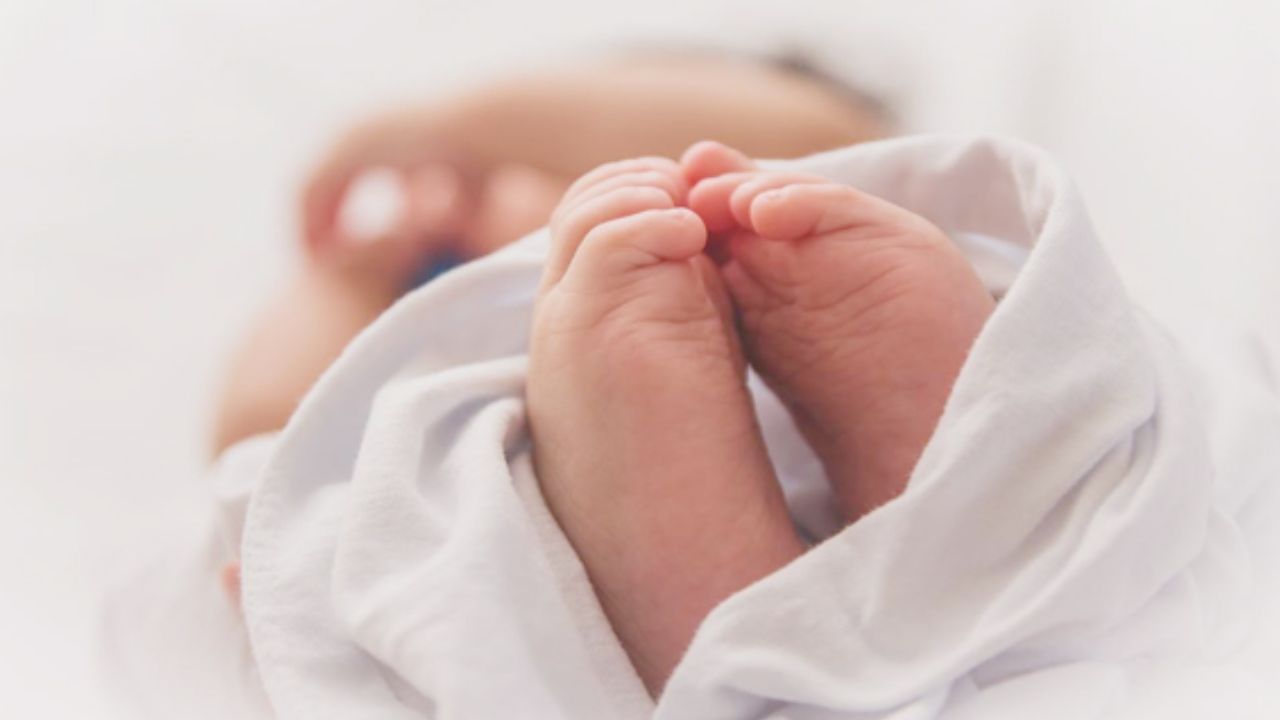 Newborn Hurled: శిశువును రోడ్డుపై విసిరేసిన యువతి.. నిందితురాలిని పట్టించిన పార్శిల్ కవర్!