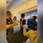 Fighting in Flight: ఓరి మీ దుంపలు తెగ.. ఇలా కొట్టుకుంటున్నారేంట్రా..