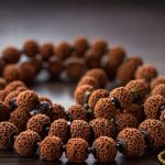 Rudraksha: అసలైన రుద్రాక్షను ఎలా గుర్తించాలి?