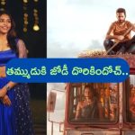Nithiin’s Thammudu Heroine: నితిన్ ‘తమ్ముడు’కి జోడీ దొరికేసిందోచ్.. ఓవర్‌నైట్‌లో క్రేజీ హీరోయిన్‌గా మారిన బ్యూటీ!