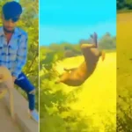 3 Cruel Inhumane: దారుణం.. మూగజీవిపై యువకుల పైశాచిక చర్య.. తిట్టిపోస్తున్న నెటిజన్లు!