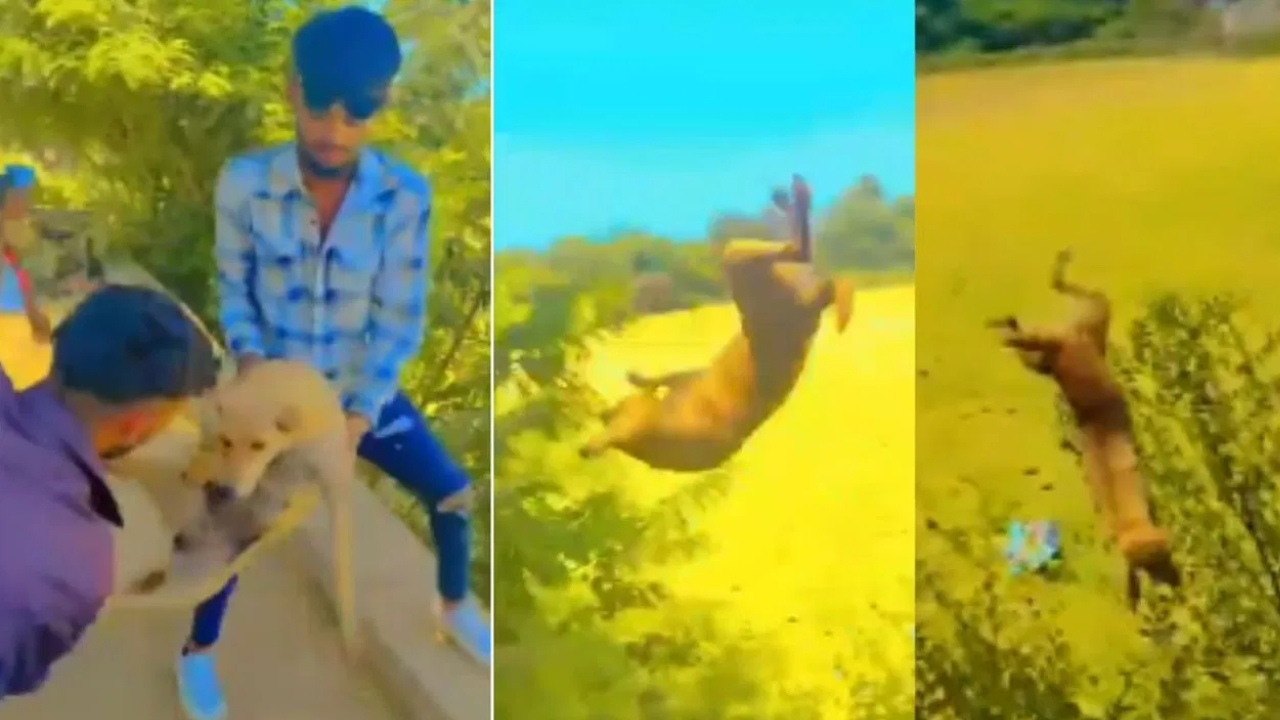 AP Govt. forms SIT on Violence: ఏపీలో చెలరేగిన అల్లర్లపై సంచలన నిర్ణయం తీసుకున్న ప్రభుత్వం.. ప్రత్యేక దర్యాప్తు బృందం ఏర్పాటు!