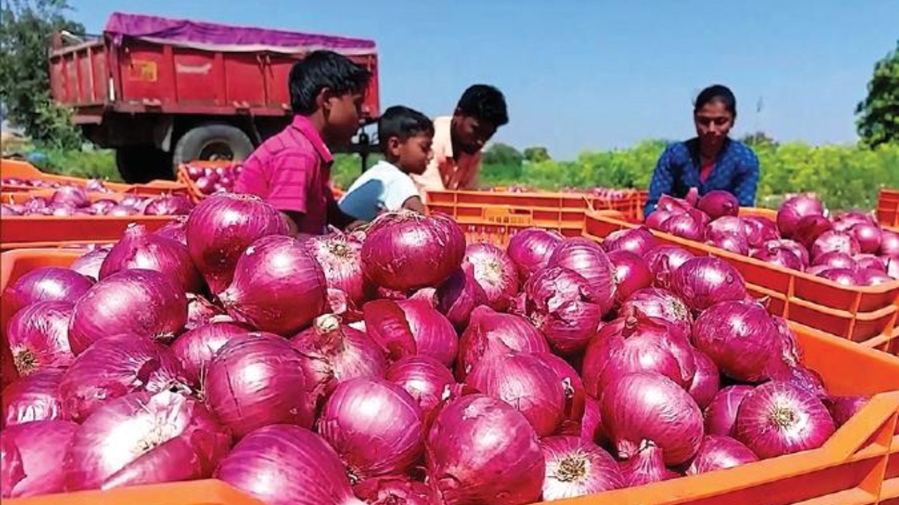 Onion Export: ఉల్లి ఎగుమతిపై నిషేధాన్ని ఎత్తివేసిన ప్రభుత్వం..  ధరలు పెరుగుతాయా..? తగ్గుతాయా..?