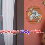 Vidya Vasula Aham Teaser: ఆహాలో మరో సినిమా వచ్చేస్తుంది.. టీజర్ భలే ఉందే