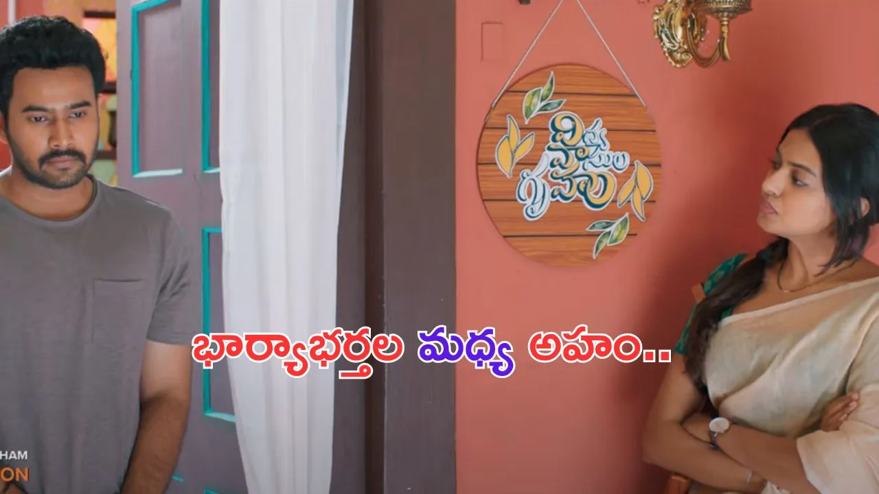 Vidya Vasula Aham Teaser: ఆహాలో మరో సినిమా వచ్చేస్తుంది.. టీజర్ భలే ఉందే