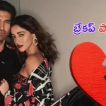 Ananya Panday: బ్రేకప్ పార్టీ.. లక్షల్లో ఖర్చు పెట్టిన ‘లైగర్’ బ్యూటీ.. ?