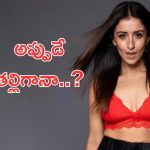 Anshu Ambani: మన్మథుడు బ్యూటీ రీఎంట్రీ.. మరీ తల్లి పాత్రలోనా.. ?