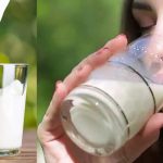 Drinking Too Much Milk Can Be Harmful: ఎక్కువ పాలు తాగడం హానికరమా? అసలు పాలు ఎంత తాగాలో తెలుసా..