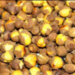 Roasted Gram Flour: పుట్నాలతో ఆరోగ్యానికి అనేక ప్రయోజనాలు..