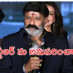 Nandamuri Balakrishna: ఎన్టీఆర్ వారసులు అని చెప్పుకోవడం కాదు.. ఆ పని చేయాలి