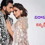 Ranveer Singh: తల్లి కాబోతున్న భార్యకు విడాకులు ఇవ్వనున్న రణవీర్.. ?
