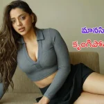 Deviyani: నటి ఫోన్ హ్యాక్.. దయచేసి నన్ను తప్పుగా అనుకోకండి అంటూ పోస్ట్