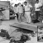 Man killed Young Woman : ప్రేమోన్మాది ఘాతుకం.. యువతిని నరికి, ఆత్మహత్యాయత్నం