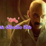 Fahadh Faasil: పుష్ప వలన నాకు ఒరిగిందేం లేదు.. ఫహాద్ సంచలన వ్యాఖ్యలు