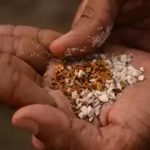 TG Govt Bans Gutkha: తెలంగాణ ప్రభుత్వం కీలక నిర్ణయం.. గుట్కా తయారీ, అమ్మకంపై బ్యాన్