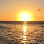 Surya Dev: ప్రతీ రోజూ స్నానం తర్వాత ఇలా చేస్తే సూర్య భగవానుడి ఆశీస్సులు ఉంటాయి.