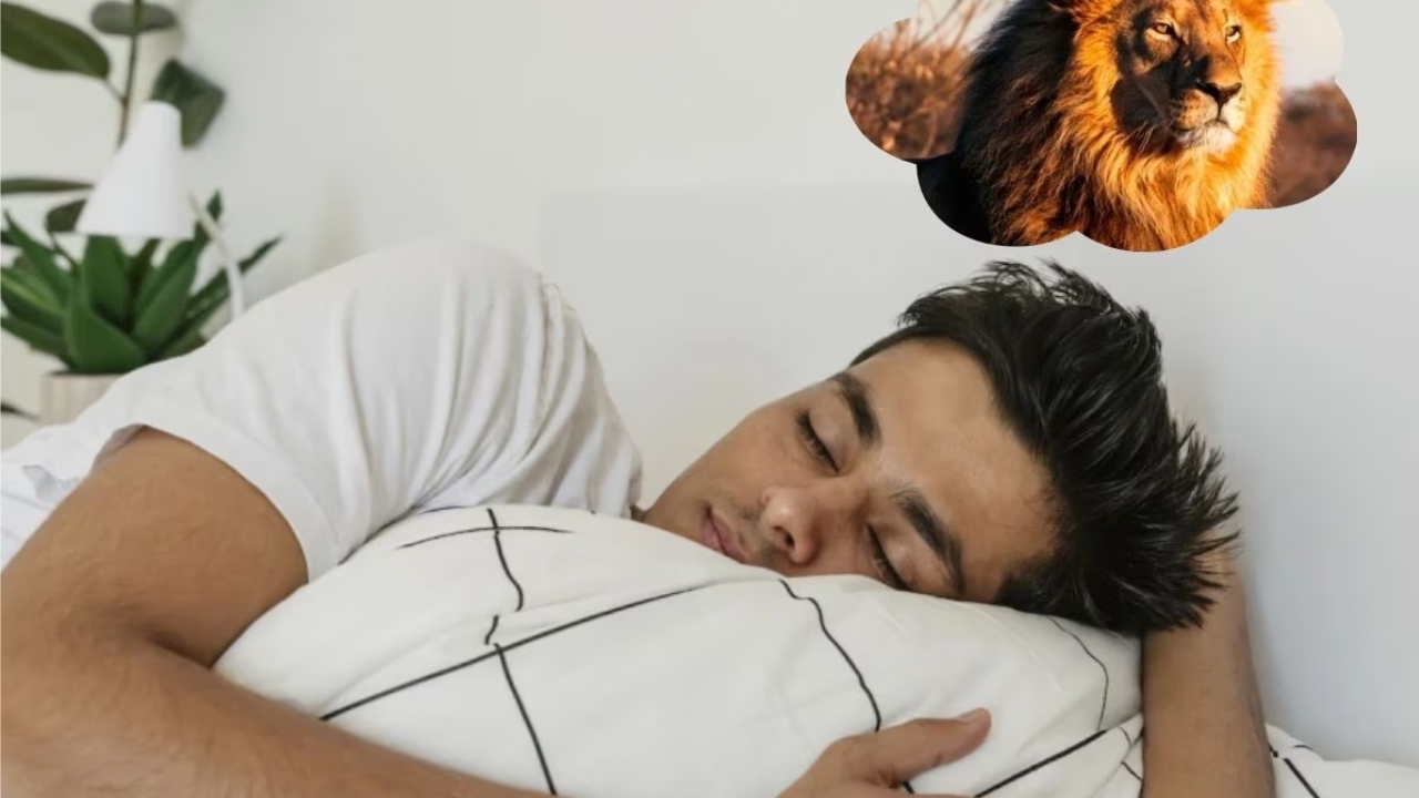 Dream Interpretation: మీ కలలో సింహం కనిపించిందా.. అయితే ఏదో పెద్ద సంకేతమే ఇస్తుంది.. జాగ్రత్త