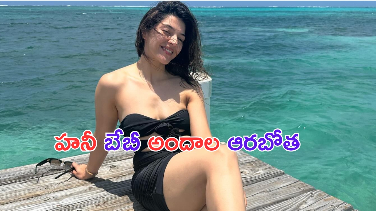 Mehreen Pirzada: బ్లాక్ బికినీలో కృష్ణగాడి గర్ల్ ఫ్రెండ్.. సెగలు పుట్టిస్తుంది ఇలా