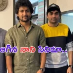 Nani Movie Update: మారిన బడ్జెట్ లెక్కలు.. ఆగిన నాని సినిమా..?