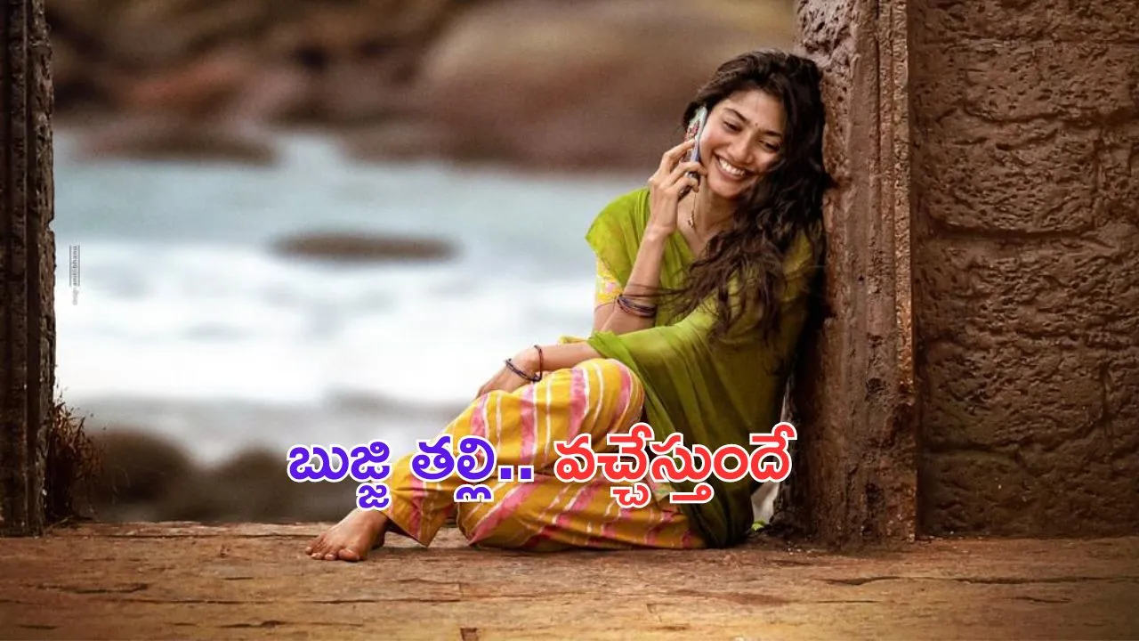 Sai Pallavi: సాయిపల్లవి ఫ్యాన్స్ రెడీ అవ్వండమ్మా.. అప్డేట్స్ వచ్చేస్తున్నాయి