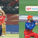 Virat Kohli Vs Rilee Rossouw: పంజాబ్ కింగ్స్ బెంగళూరు మ్యాచ్.. న్యూటన్ థర్డ్ లా అప్లై చేసిన కోహ్లీ..!