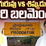 Varadarajulu Reddy Vs SivaPrasad Reddy: గురువు వర్సెస్ శిష్యుడు.. ఎవరి బలమెంత?