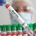 Bird flu death: ప్రపంచంలో బర్డ్ ఫ్లూతో తొలి మృతి నమోదు.. ప్రతి ఒక్కరూ అప్రమత్తంగా ఉండాలంటూ అలర్ట్