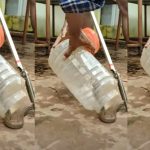 Snake Viral Video: సూపర్ ట్రిక్ బ్రదర్.. పాములు ఎలా పట్టేశాడో చూడండి!