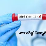 Bird Flu H9N2: భారత్‌లో మరో బర్డ్ ఫ్లూ కేసు.. నాలుగేళ్ల చిన్నారికి పాజిటివ్..!