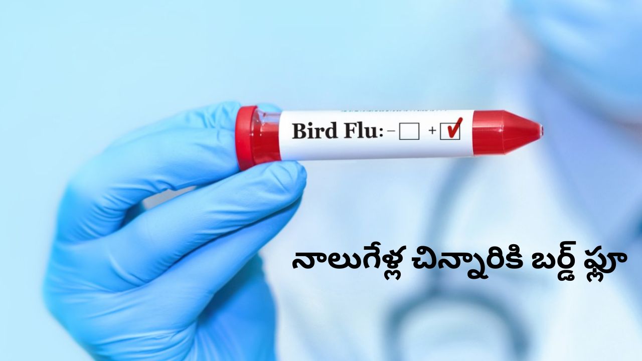 TG TET 2024 Results: తెలంగాణ టెట్ ఫలితాలు విడుదల.. ఇలా చెక్ చేసుకోండి!
