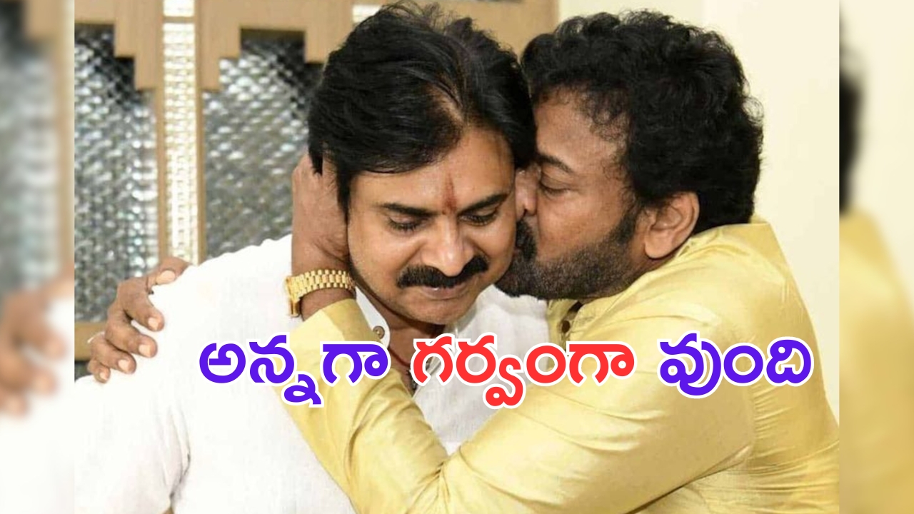 AP Assembly Elections Winning Candidates List 2024 : సైకిల్ జోరు.. వైసీపీ బేజారు.. గెలిచిన అభ్యర్థుల లిస్ట్ ఇదే