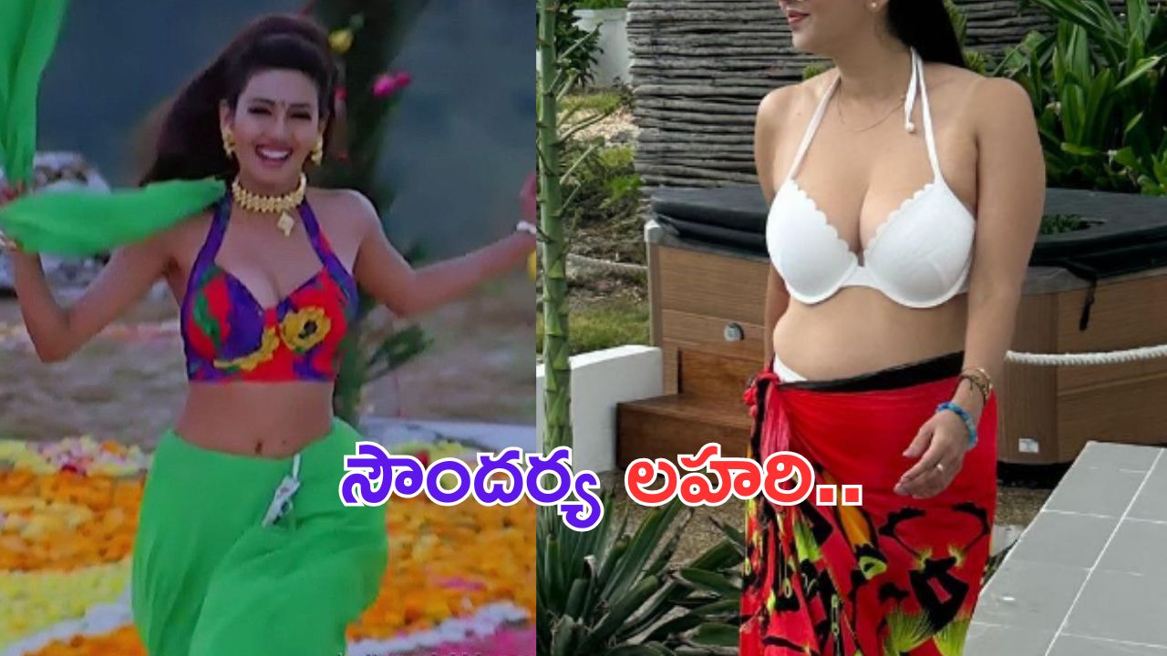 Deepti Bhatnagar: సౌందర్య లహరి.. స్వప్న సుందరి.. ఇప్పుడు ఎంత హాట్ గా ఉందో చూశారా..?