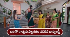 Tripti Dimri: ఆ పనిలో పడిన త్రిప్తి డిమ్రి